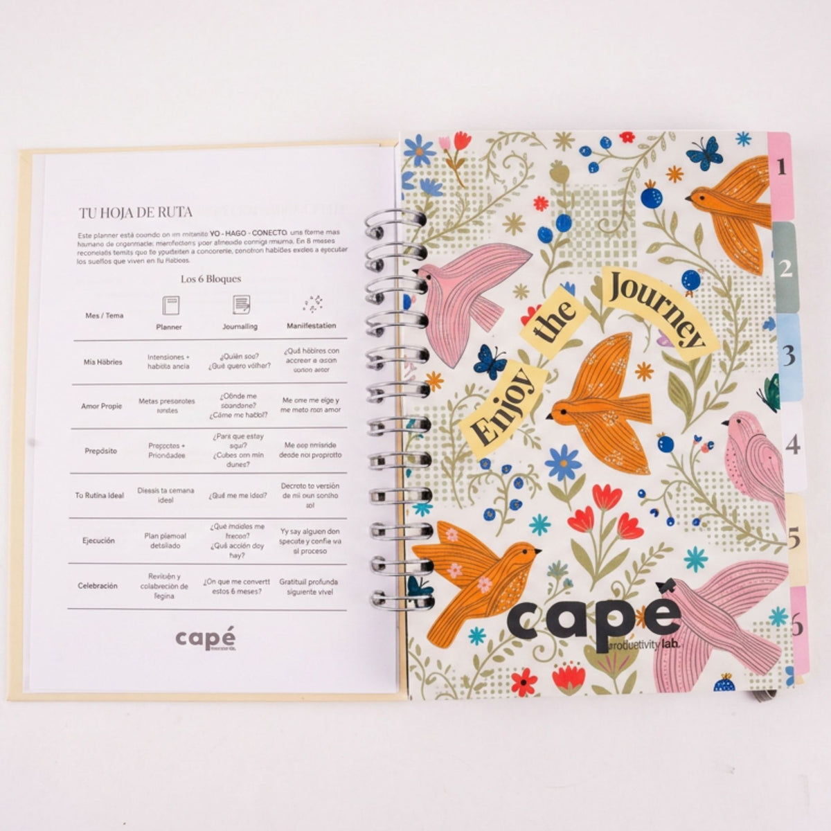 Planner Semestral Capé